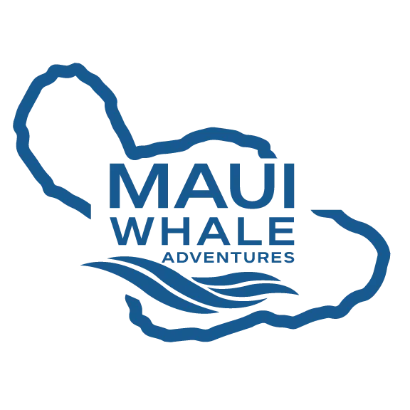 Maui Whale Adventures